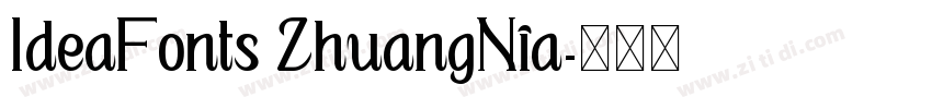 IdeaFonts ZhuangNia字体转换